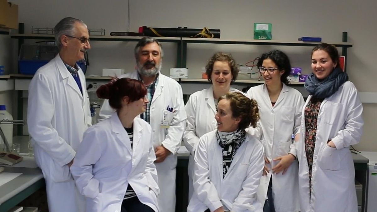 La UC avanza en la utilización de nanotubos de carbono en el tratamiento del cáncer