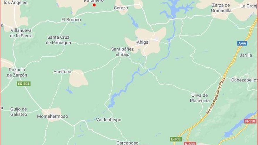 Un hombre mata a otro con una motosierra en Palomero, por unos olivos