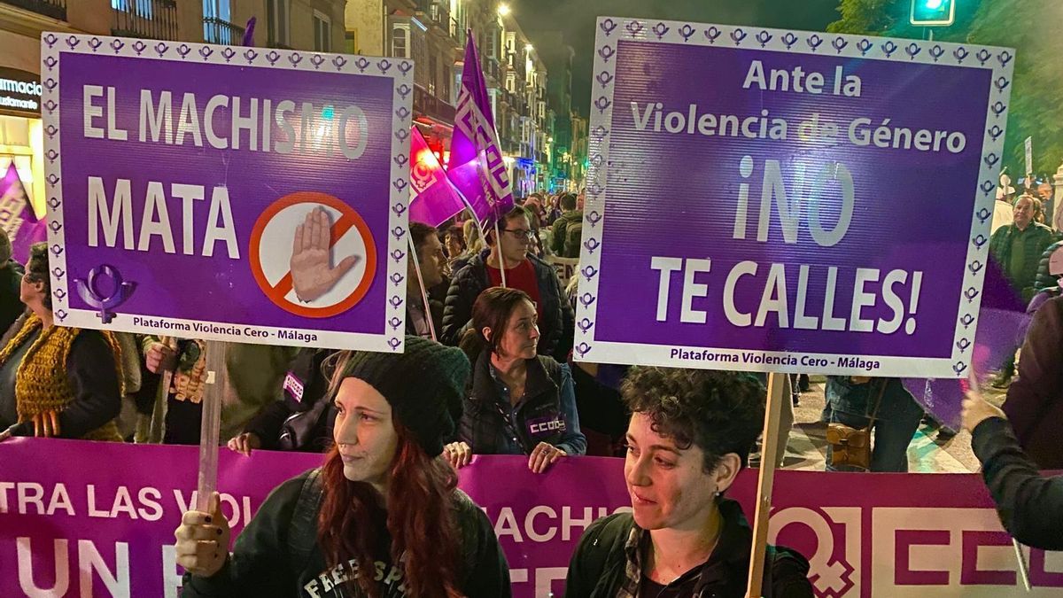 Miles de personas claman en las calles de Andalucía contra la violencia ...