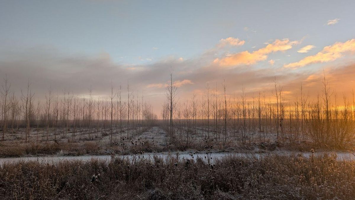 Nieve en el Páramo.