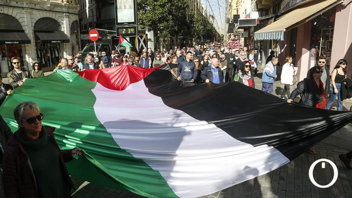 Manifestación en apoyo a Palestina
