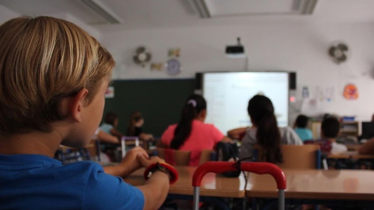 Junta promueve el teletrabajo entre los profesores y mantiene abierto los centros para la escolarización