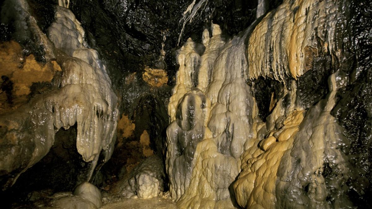 Tras su clausura industrial, el recinto permaneció en silencio hasta que fue recuperado y rehabilitado como un espacio turístico y cultural