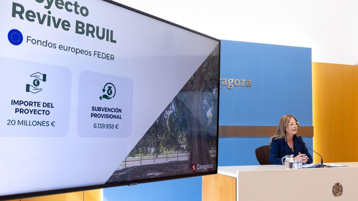 El Gobierno de España destina seis millones de euros para la rehabilitar el  entorno del parque Bruil de Zaragoza
