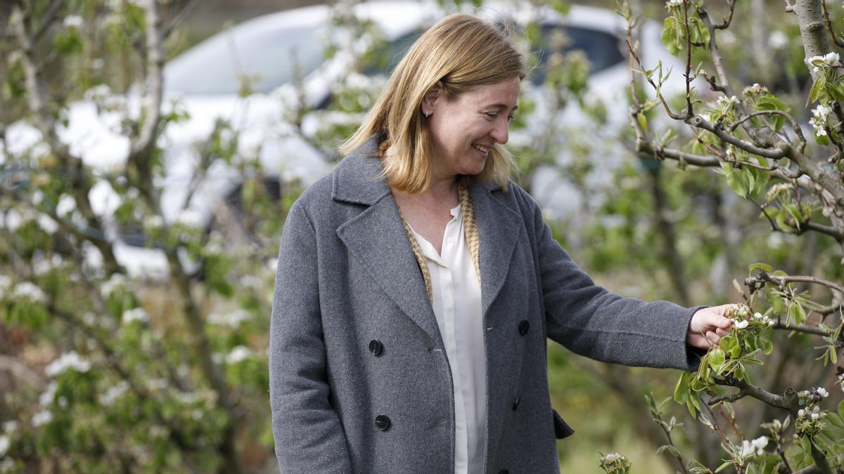 La consejera de Agricultura, Ganadería, Mundo Rural y Medio Ambiente, Noemí Manzanos, junto con la directora general de Agricultura y Ganadería, María Jesús Miñana, visita el proyecto regional de ensayo de eficacia de productos autorizados contra el fuego bacteriano