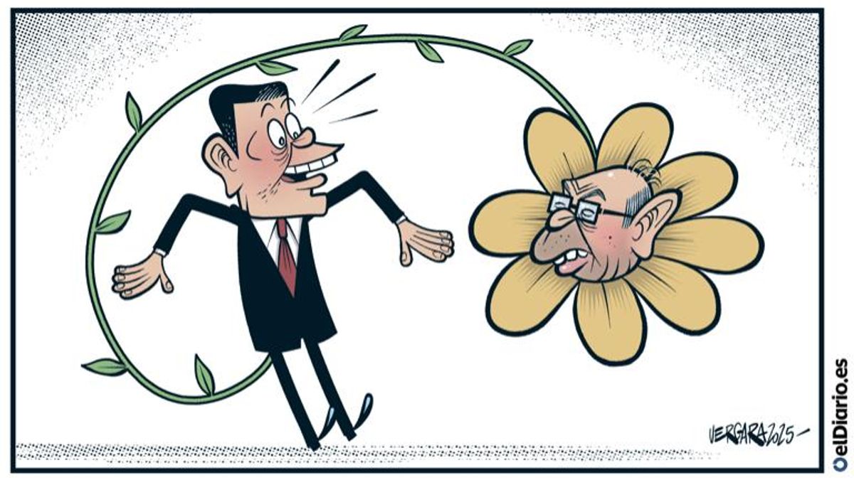 Un golpe de suerte