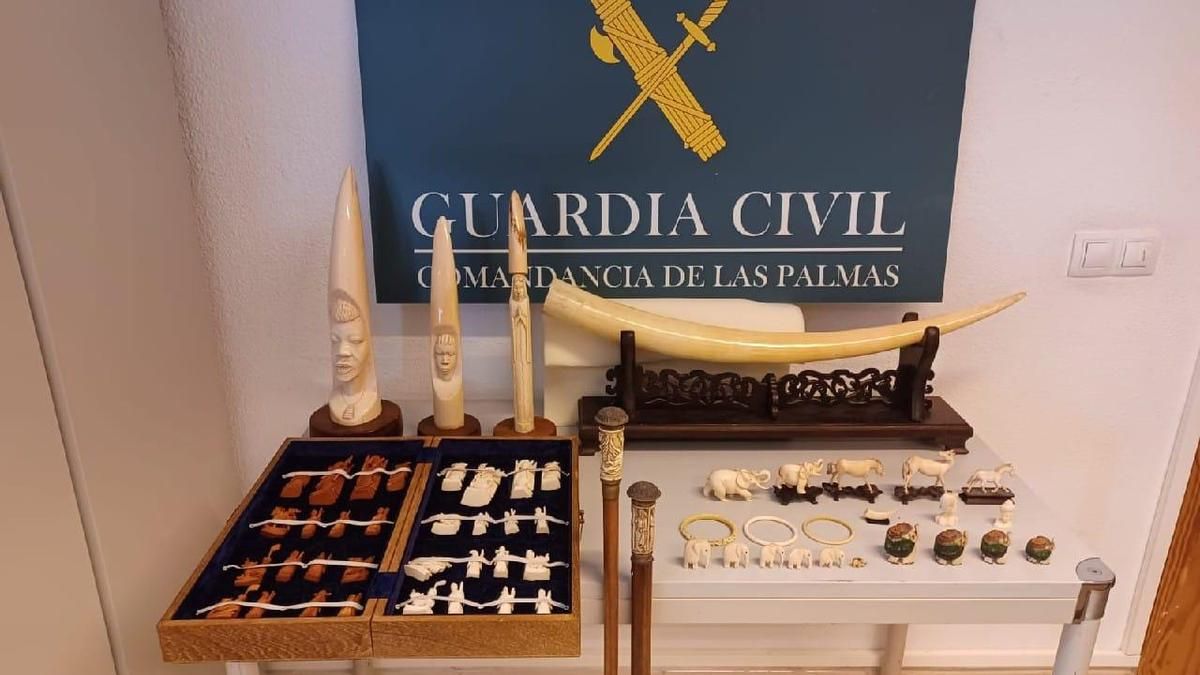 Unas obras de reforma desvelan una colección de objetos de marfil de origen desconocido en Gran Canaria