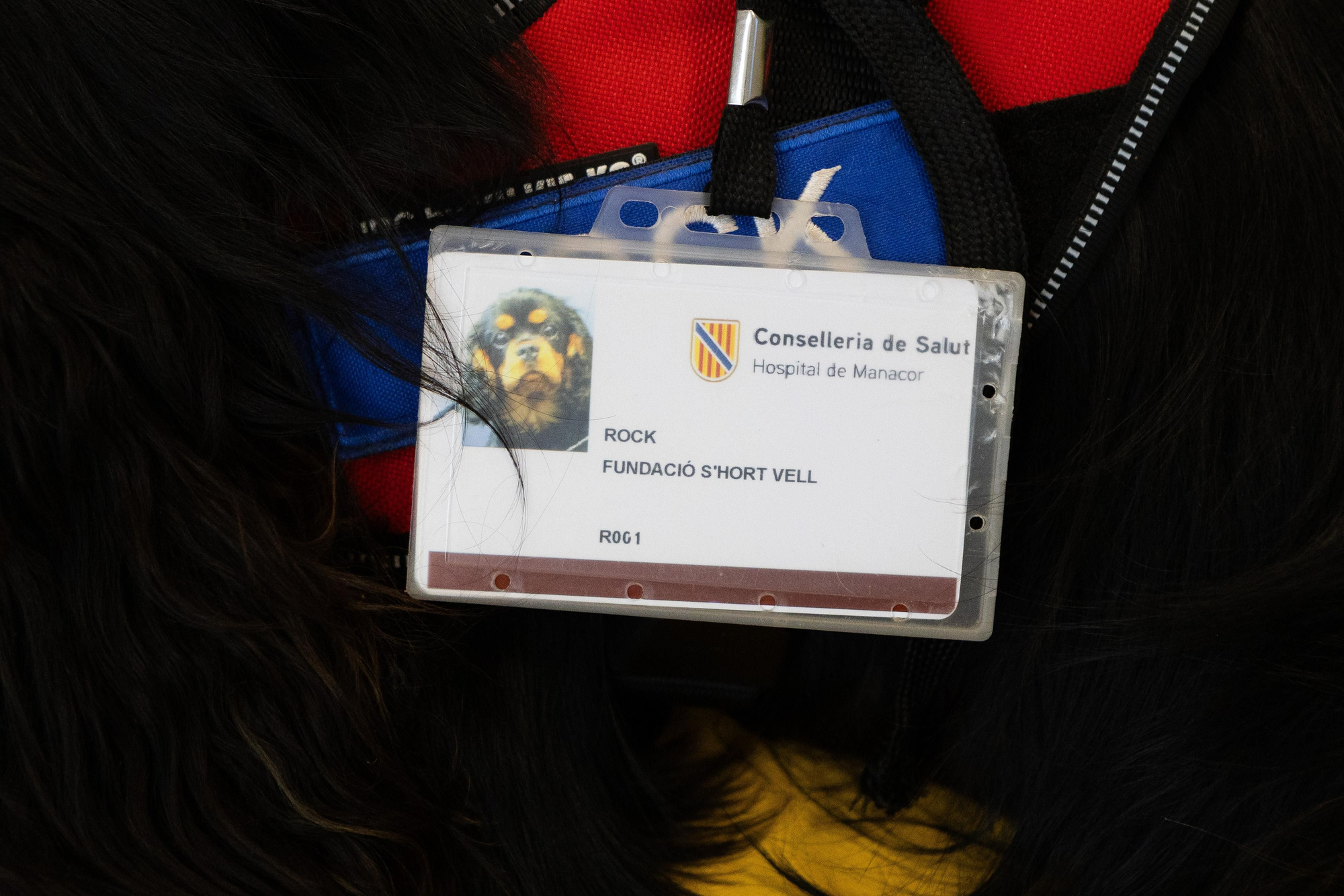 Tarjeta identificativa que Rock lleva incorporada en el arnés