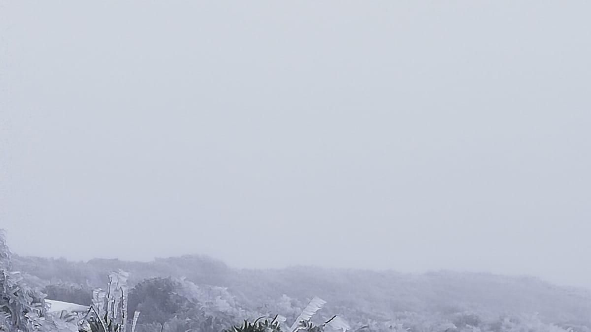 La ola de frío esculpe una estampa polar en La Palma