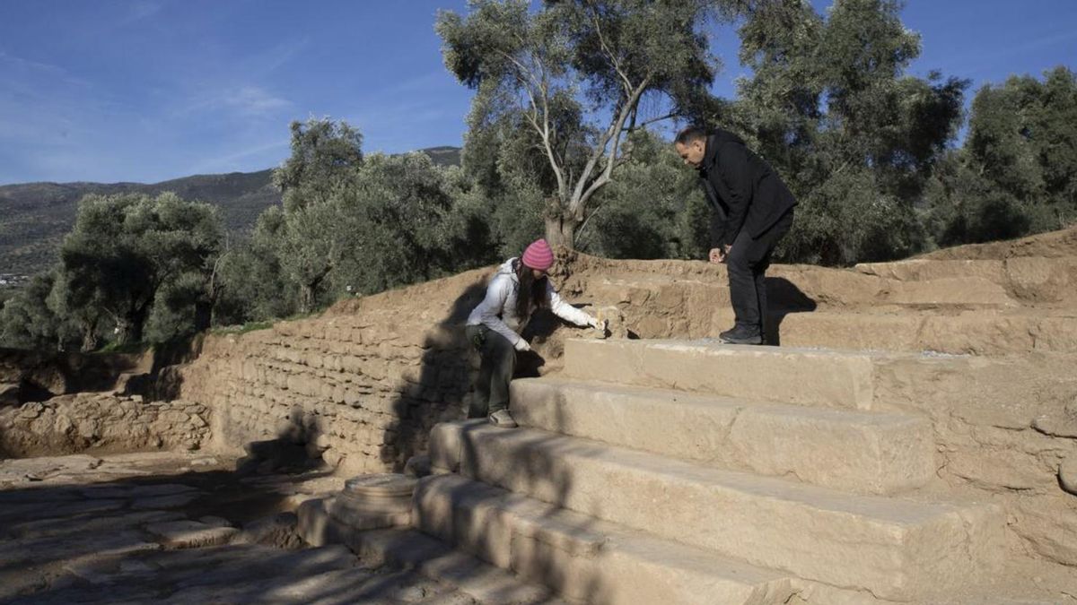 Los cinco peldaños que devolvieron a la biblioteca su conexión con la ciudad