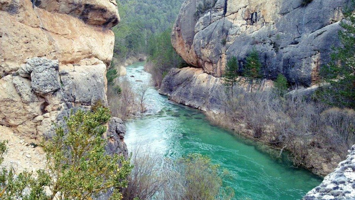 Parque Natural del Alto Tajo