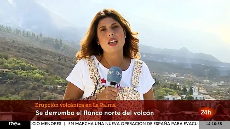 La emotiva historia entre una reportera de TVE y un perro abandonado en La Palma: "Nos cuida él a nosotros"