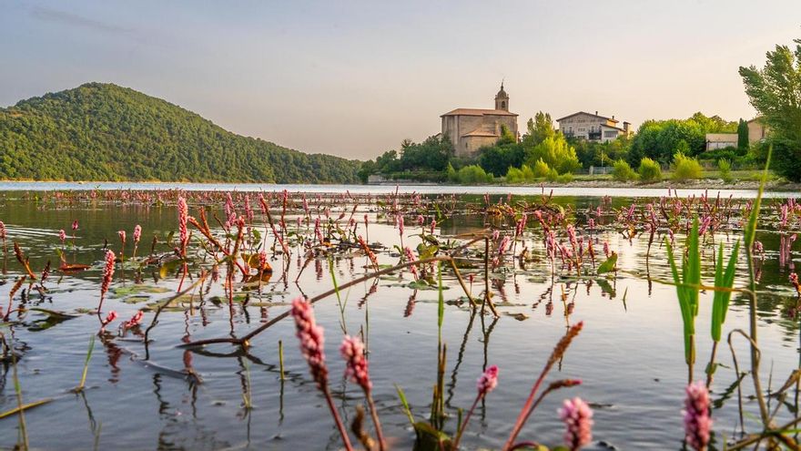 Álava te ofrece un paraíso de naturaleza y playas de interior en el embalse de Ullibarri-Gamboa