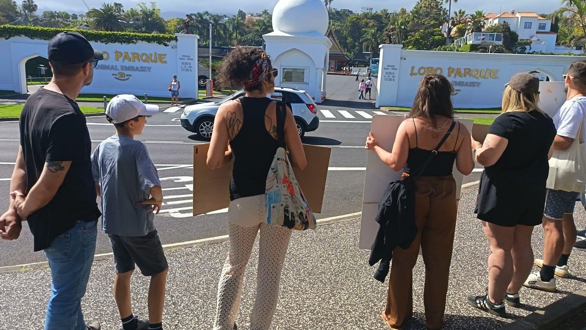 Protesta frente a Loro Parque para pedir el fin del "maltrato animal". Álvaro Morales.