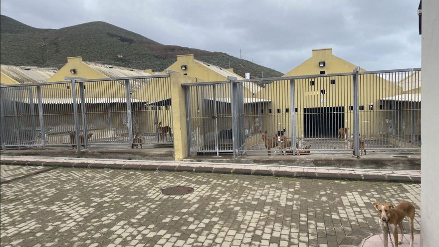 Albergue Insular de Animales Abandonados del Cabildo de Gran Canaria