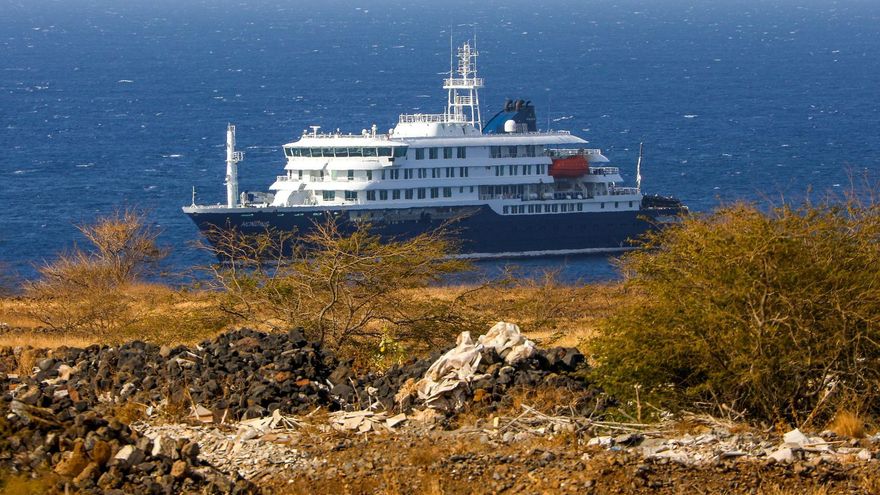 Un informe de Sanidad desmiente el alarmismo de Clavijo: los roedores del hantavirus no nadan y las condiciones higiénicas del barco son adecuadas