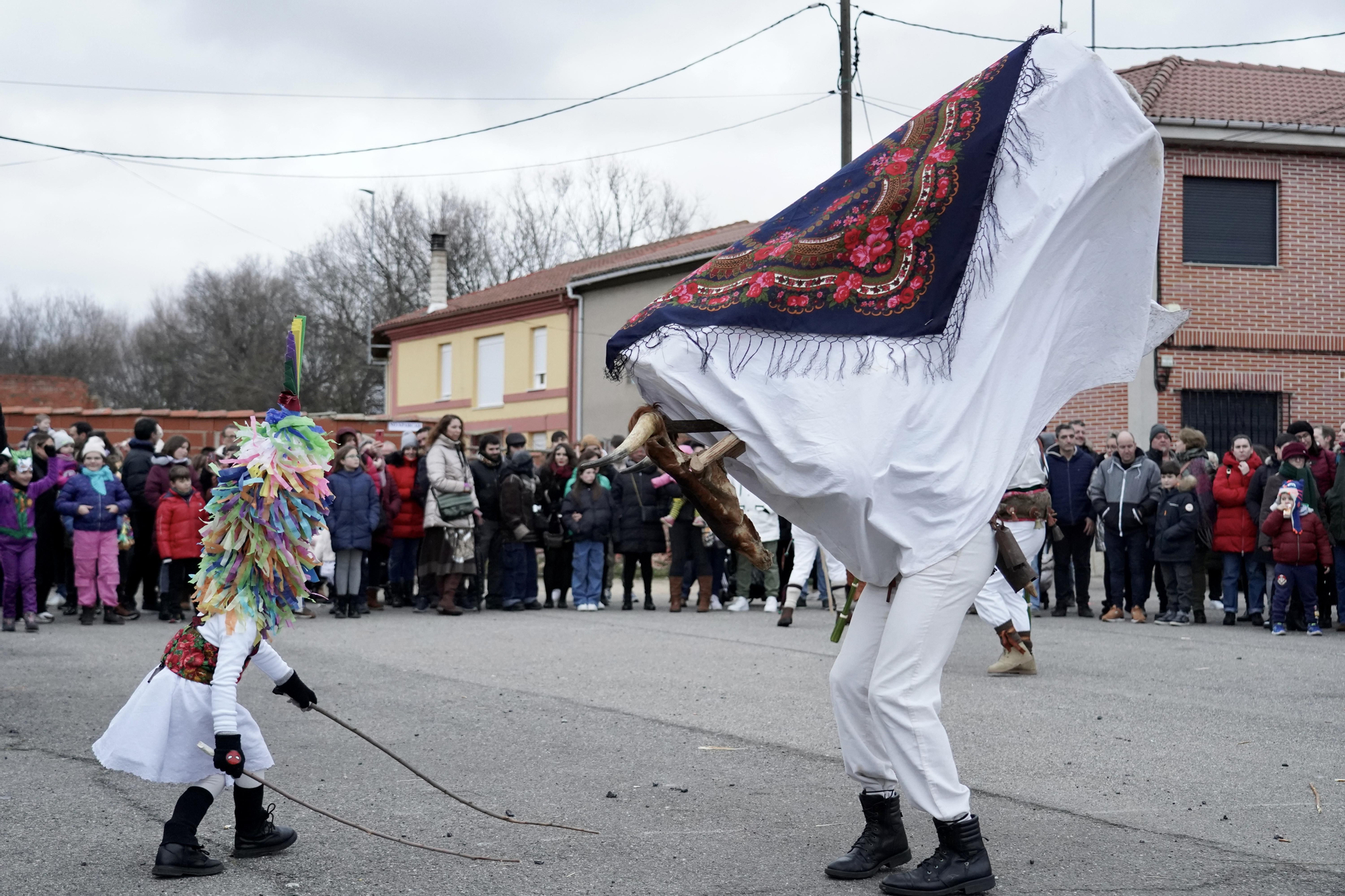 Toros y guirrios del antruejo en Velilla de la Reina