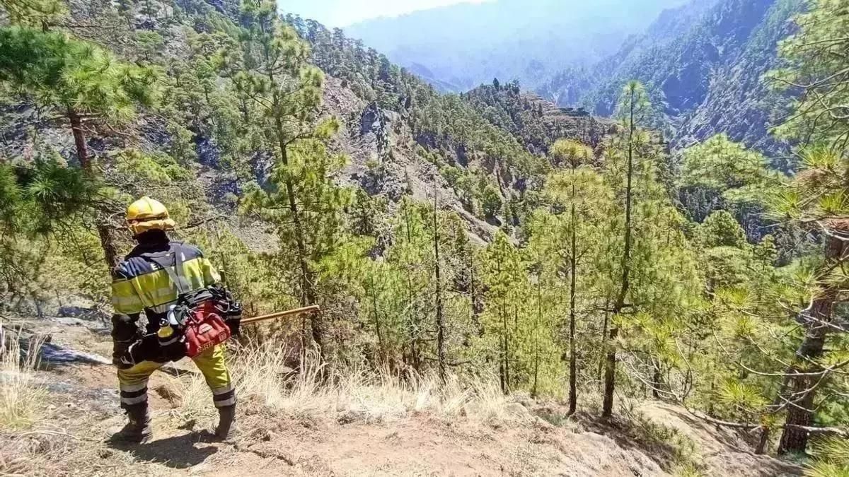 Imagen de archivo de un miembro del EIRIF La Palma (Equipo de Intervención y Refuerzo en Incendios Forestales) en labores de control y vigilancia del incendio de julio de 2023 que afectó a los municipios de Puntagorda y Tijarafe y Parque Nacional de La Caldera de Taburiente.