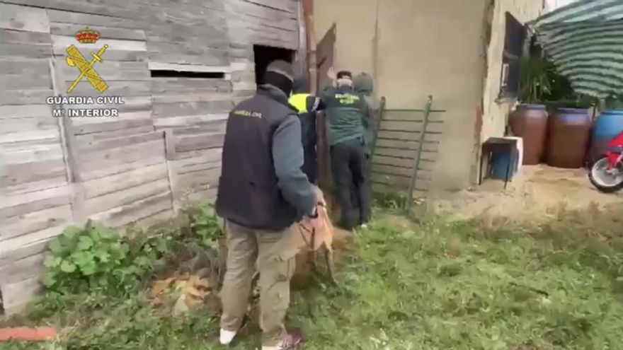 Quince detenidos en una operación contra el tráfico de drogas en Fuente Cantos