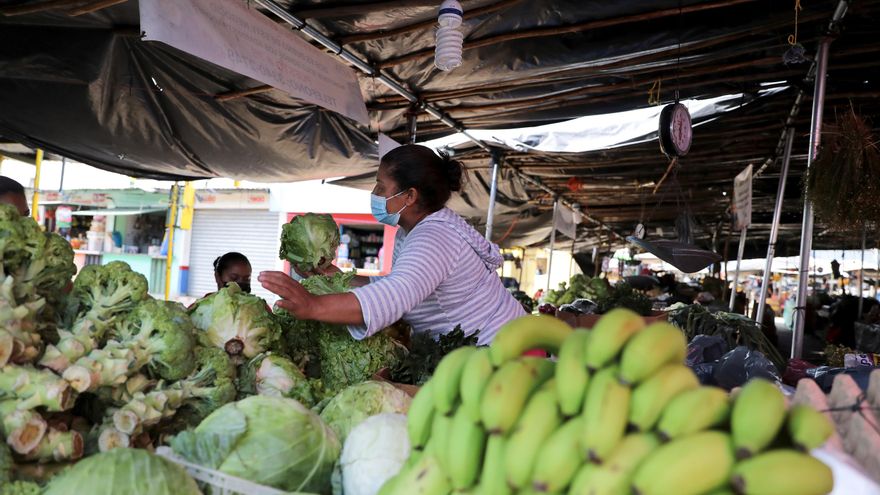 La FAO pide 37,7 millones de dólares para enfrentar el hambre en Centroamérica