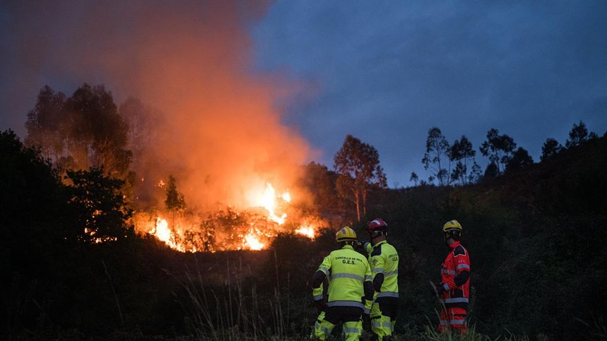 Arde sobre quemado: los grandes incendios forestales tienen memoria
