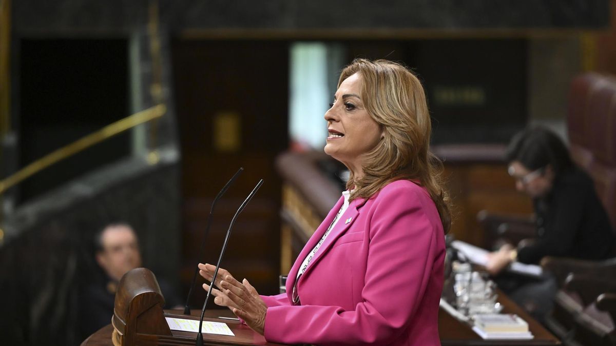 CC, PP y PSOE se enzarzan en el Congreso por las medidas para Canarias por la guerra en Irán