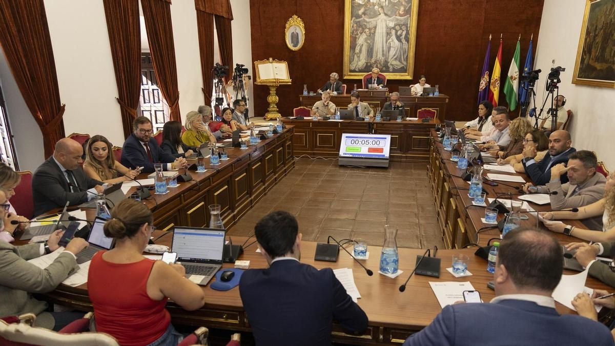 Pleno celebrado en la Diputación de Córdoba.