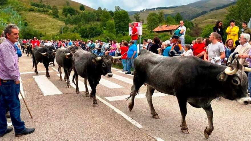 Cantabria suma otras cinco nuevas fiestas de interés turístico regional a su calendario anual