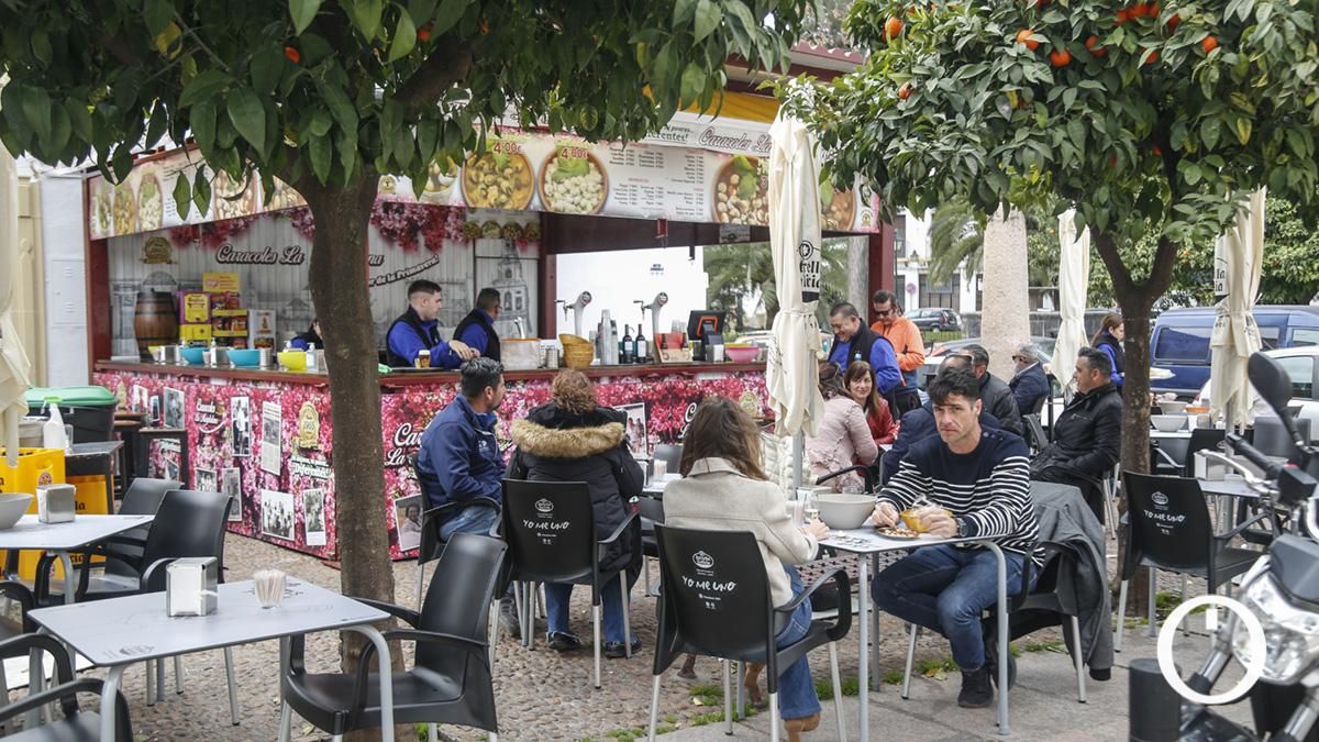 Comienzo de la temporada de caracoles 2023 - Caracoles La Magdalena