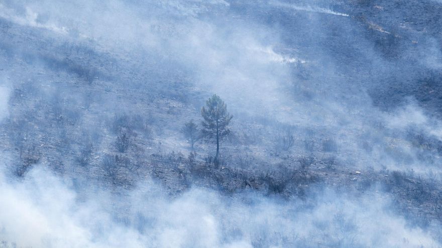 El incendio de La Mierla, en Guadalajara, se encuentra "fuera de su capacidad de extinción" y está lejos de ser controlado, mientras suma ya 32 pueblos evacuados con unas 1.200 personas afectadas y el dispositivo está centrado en proteger a las poblaciones. EFE/Nacho Izquierdo