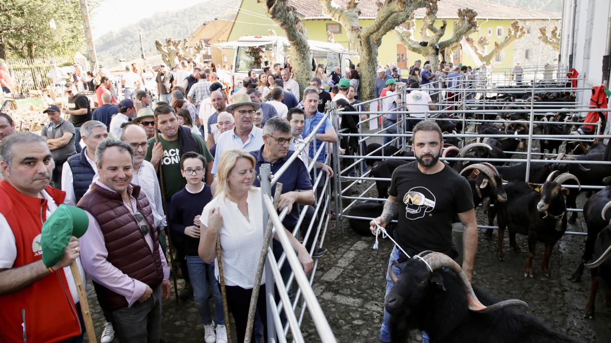 Susinos en la feria de Arredondo de Todos los Santos