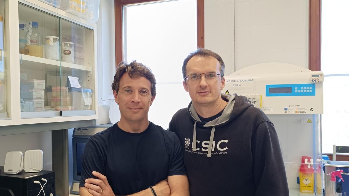 Investigadores aragoneses del INMA lideran un proyecto para 'cazar' y degradar microplásticos en depuradoras