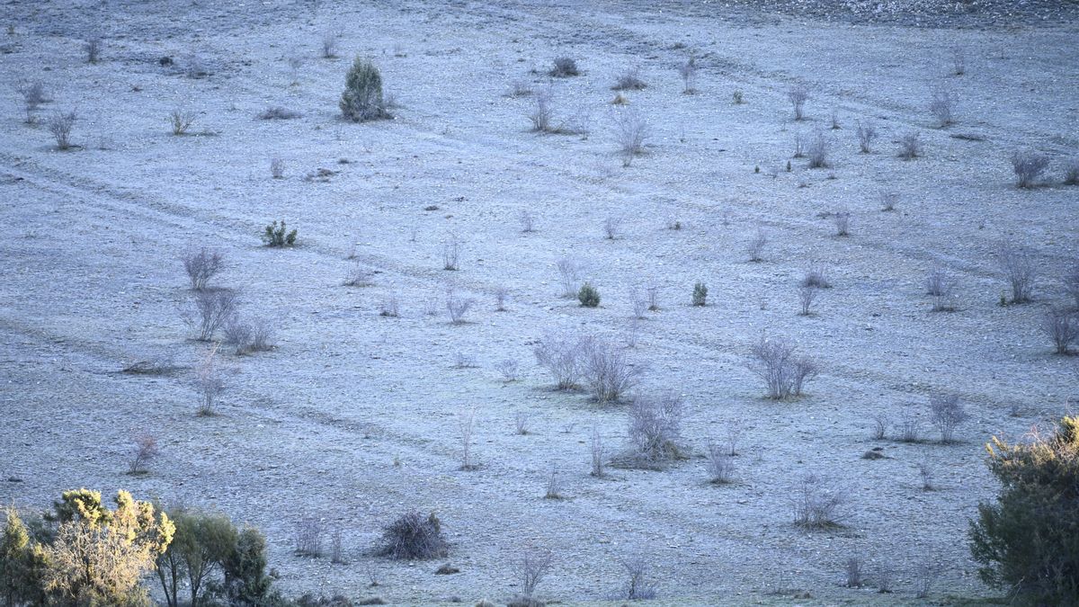 Los agricultores del centro y sur de la provincia de Huesca están evaluando los daños que el hielo ha ocasionado en sus cosechas