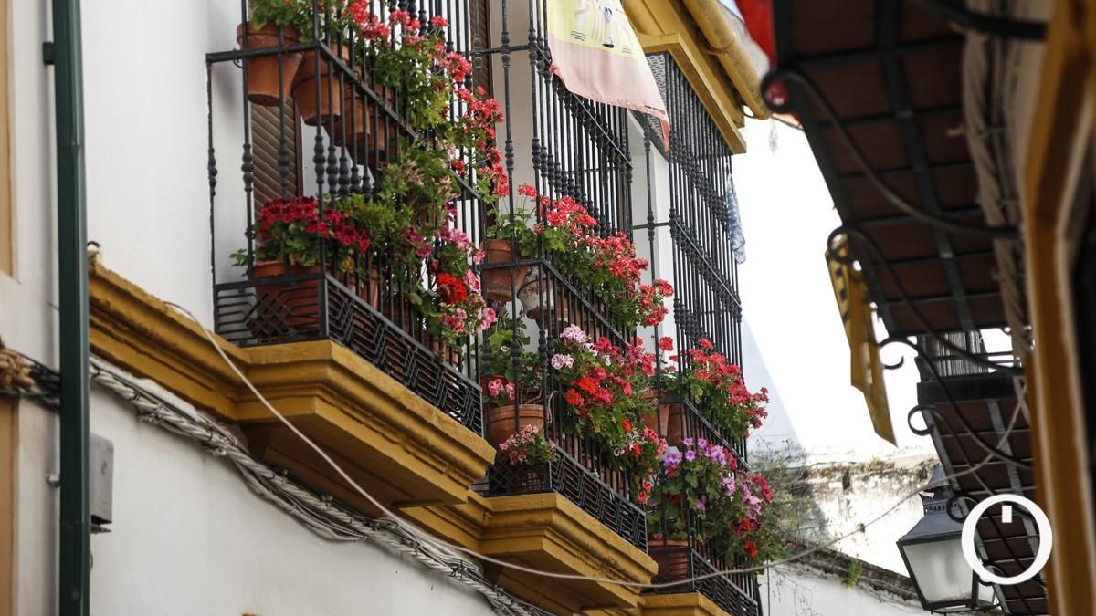 Rejas y Balcones en la C/ Pedro Fernández, 6