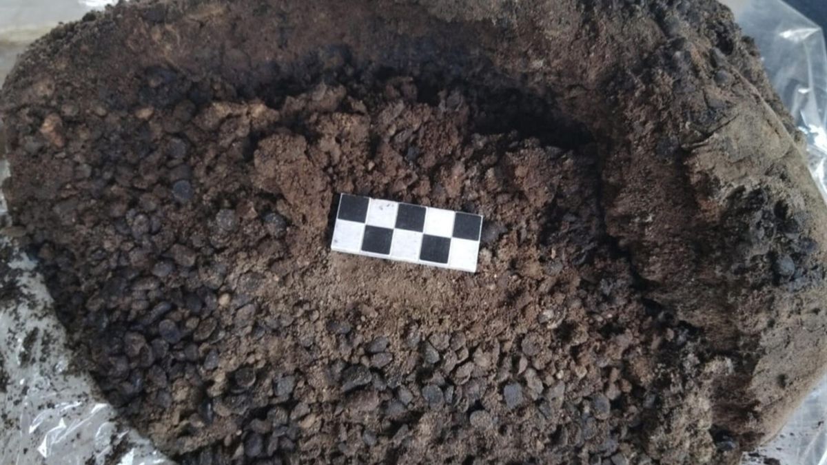 El estudio muestra que una dieta suficiente no compensaba la falta de derechos ni el encierro