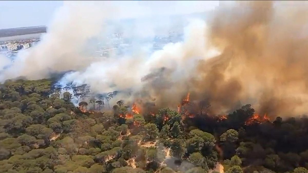 Incendio en el Parque de las Canteras, en Puerto Real, en Cádiz.