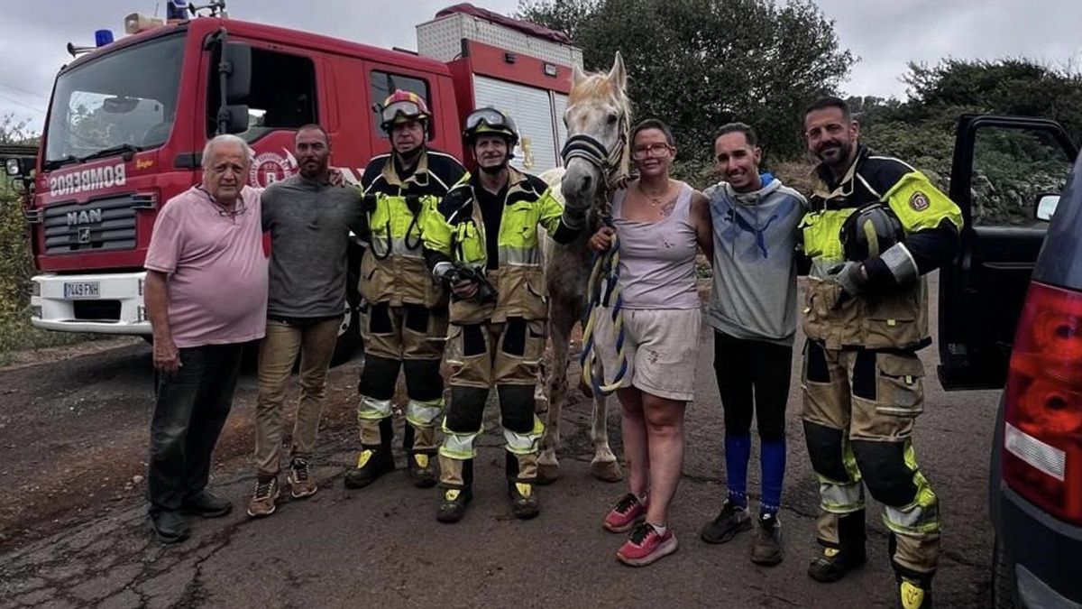 El caballo, junto a sus rescatadores.
