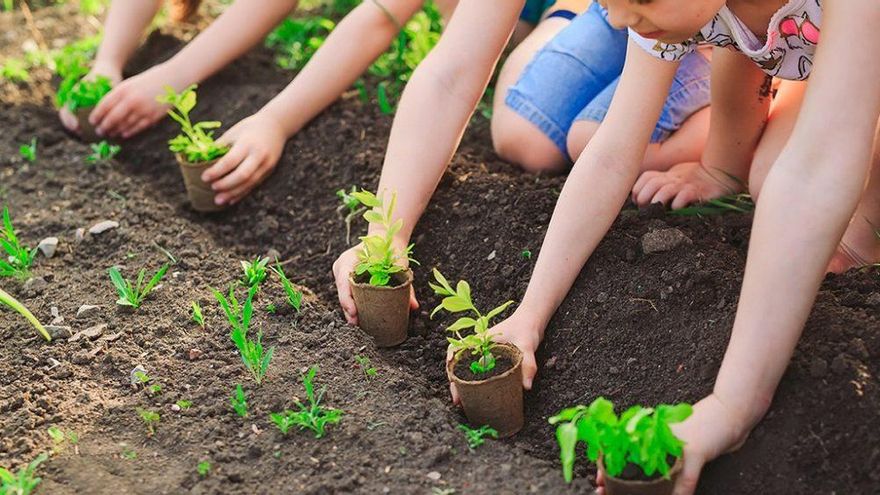 Día Mundial del medio ambiente: ¿Por qué se celebra hoy, 5 de junio?