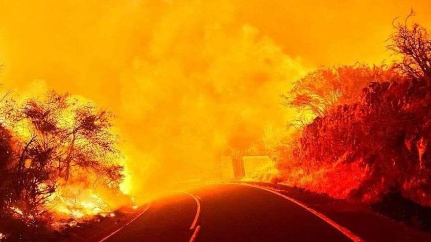 Profesionales forestales advierten de que Canarias es un "polvorín" para los incendios y que "lo peor está por llegar"