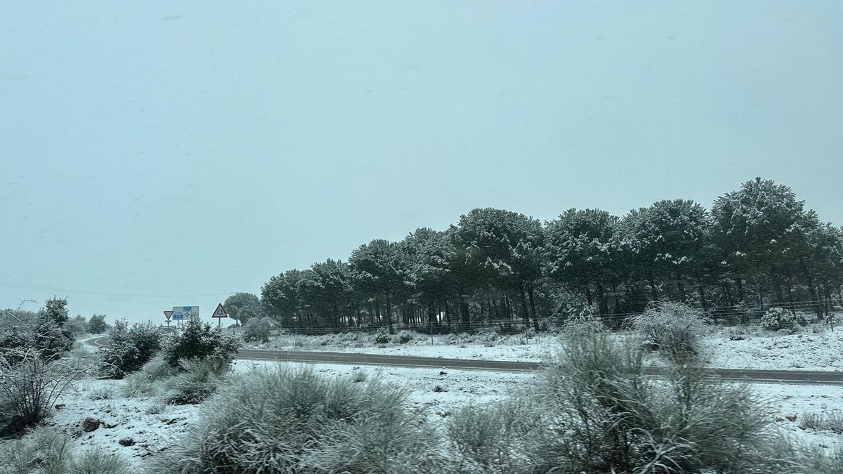 Nieve en una carretera de Segovia esta mañana.