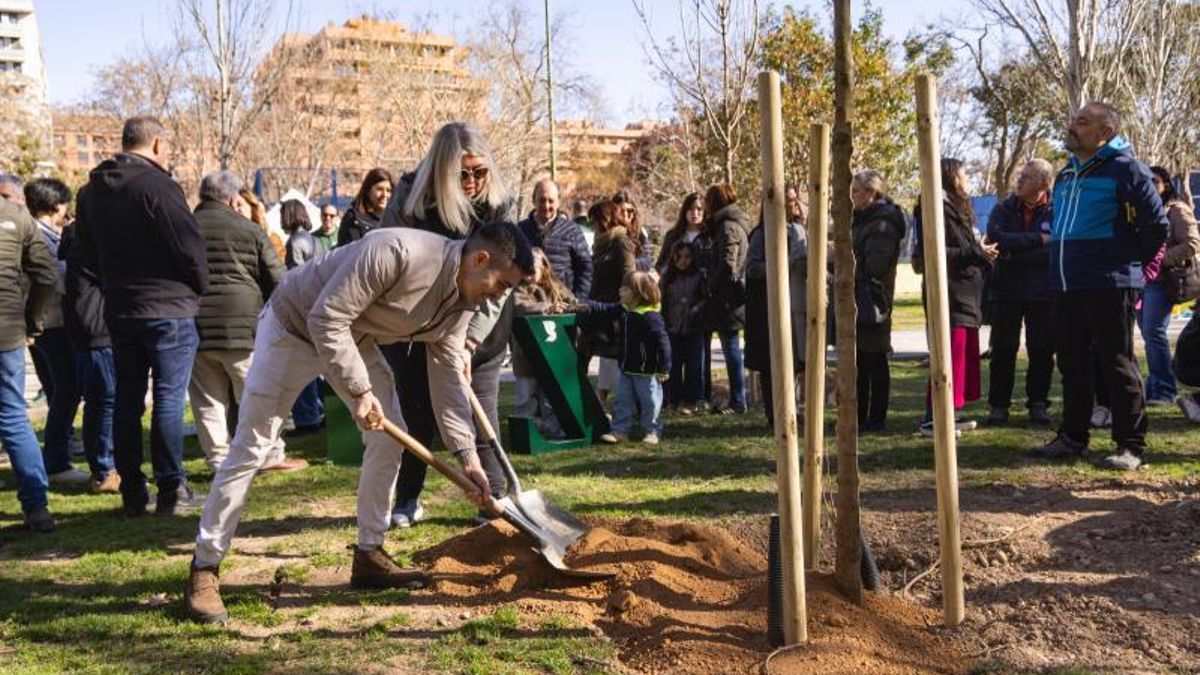 Plantación de árboles por parte de las asociaciones vecinales