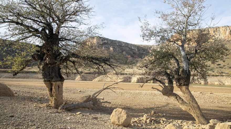 Las lluvias del otoño apenas alivian la escasez de agua