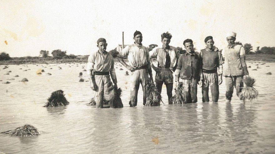 Hubo cuatro millones de temporeros españoles durante el franquismo: "Somos fruto de las migraciones"