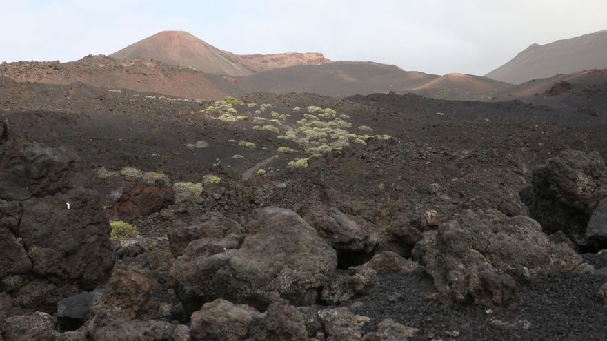 El paisaje que le espera a la Palma tras el volcán: un retrato del futuro en Teneguía