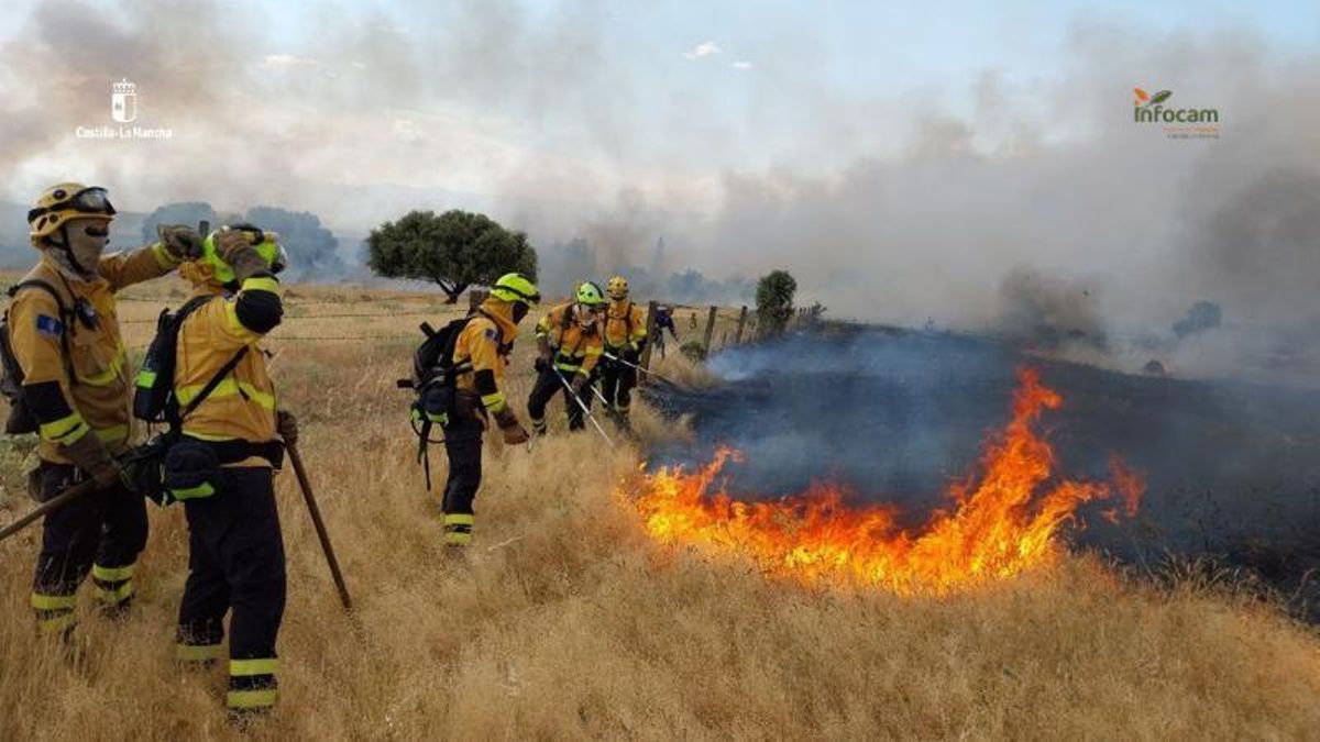 Bomberos forestales trabajando en la extinción del incendio de Lagartera (Toledo)