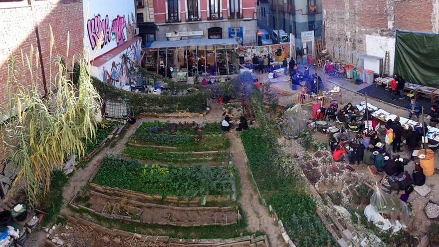 El solar de Grilo llama a salvar las plantas de su jardín en un adiós reivindicativo tras el desolojo municipal del espacio