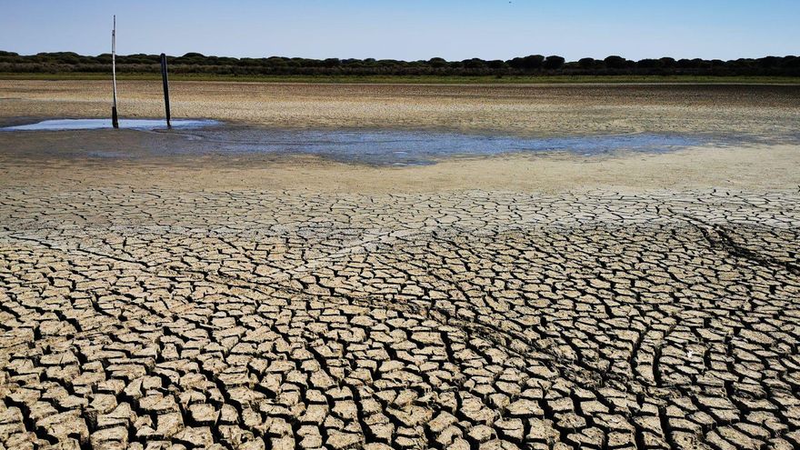 La Fiscalía investigará las extracciones de agua en el entorno de Doñana