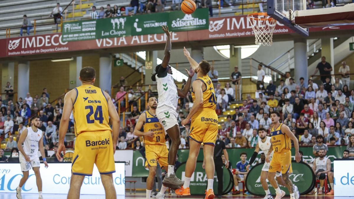 Cajasol Coto Córdoba - Cajasiete Gran Canaria