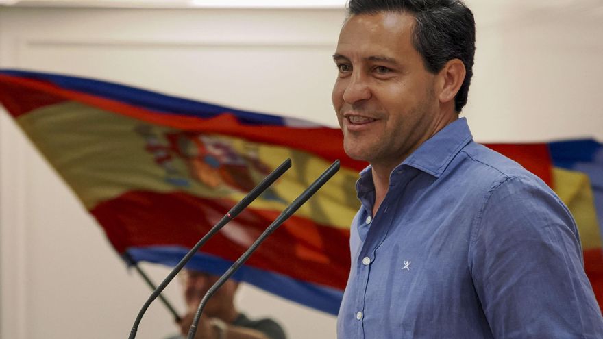 Las Cortes de Castilla y León estudian si el eurodiputado Raúl de la Hoz, del PP, podía cobrar como portavoz y abogado