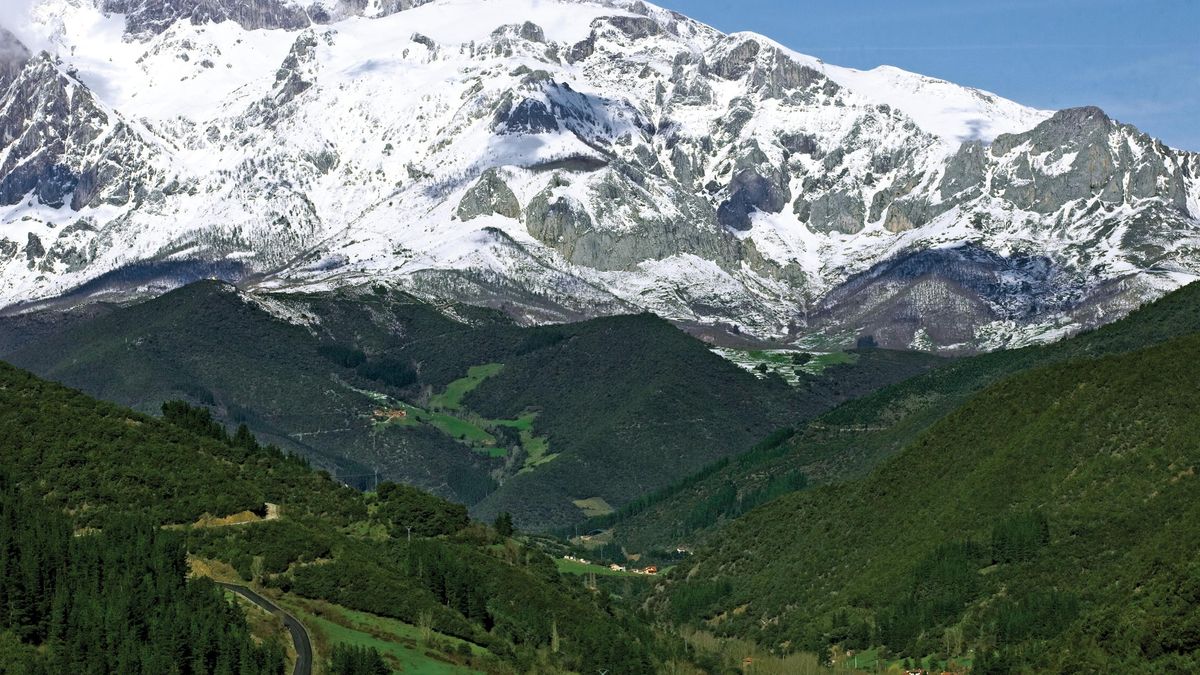 El PRC acusa al consejero de Salud de mentir a los alcaldes cuando dijo que no había peticiones para la plaza de pediatría